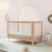 Lolly 3-in-1 Convertible Crib by Babyletto at $699! Shop now at Nestled by Snuggle Bugz for Cribs.