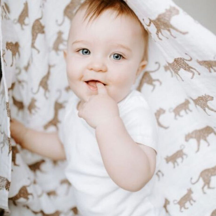 Classic Swaddles - 2 Pack by Aden & Anais at $38.99! Shop now at Nestled by Snuggle Bugz for Nursery & Decor.