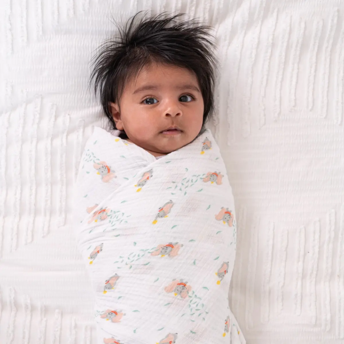 Classic Swaddles - 2 Pack by Aden & Anais at $38.99! Shop now at Nestled by Snuggle Bugz for Nursery & Decor.