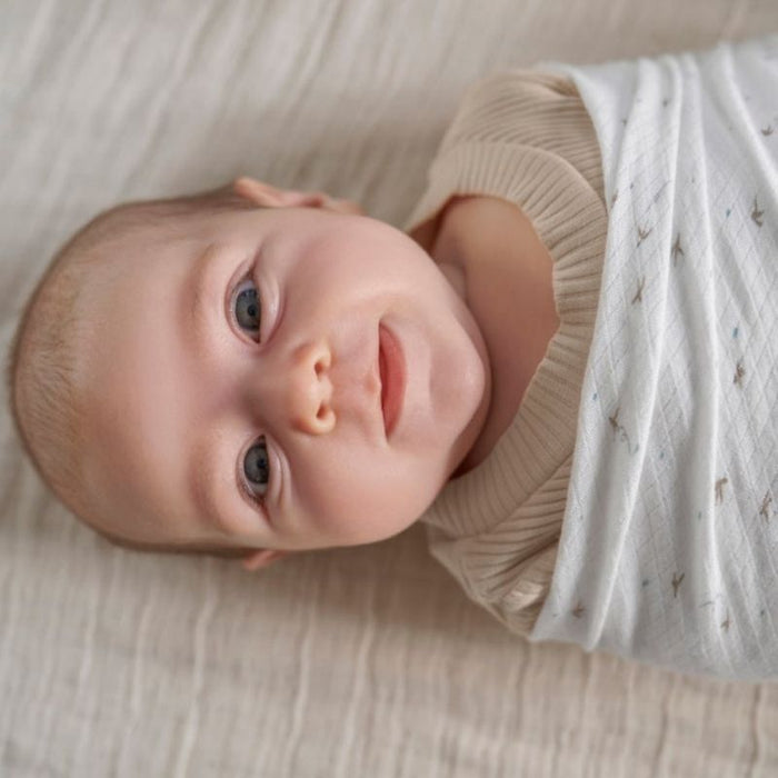 Essentials Silky Soft Muslin Swaddle - 2 Pack by Aden & Anais at $23.99! Shop now at Nestled by Snuggle Bugz for Nursery & Decor.