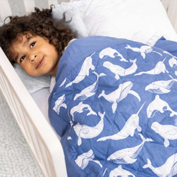 Weighted Toddler Blanket by Aden & Anais at $129.99! Shop now at Nestled by Snuggle Bugz for Nursery & Décor.