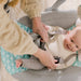 Swingity Swing Easy-Fold Portable Swing – Goji by Ingenuity at $89.99! Shop now at Nestled by Snuggle Bugz for Gear.
