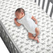 Organic Cotton Fitted Crib Sheet by Lambs & Ivy at $37.99! Shop now at Nestled by Snuggle Bugz for Nursery & Décor.