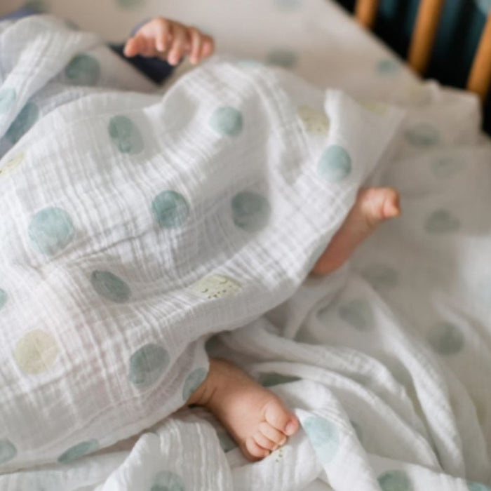 Organic Swaddle by Pehr Designs at $25.59! Shop now at Nestled by Snuggle Bugz for Nursery & Decor.