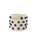 Pom Pom Pints by Pehr Designs at $37.99! Shop now at Nestled by Snuggle Bugz for Nursery & Décor.