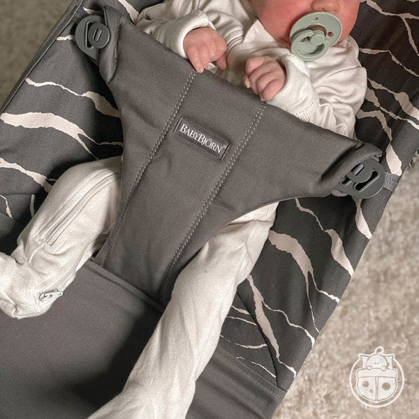 Bouncer Bliss with Extra Seat Fabric Bundle by BabyBjorn at $383.99! Shop now at Nestled by Snuggle Bugz for Gear.