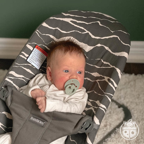 Bouncer Bliss with Extra Seat Fabric Bundle by BabyBjorn at $383.99! Shop now at Nestled by Snuggle Bugz for Gear.