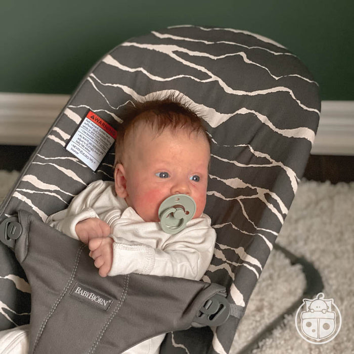 Bouncer Bliss - Cotton by BabyBjorn at $259.99! Shop now at Nestled by Snuggle Bugz for Gear.
