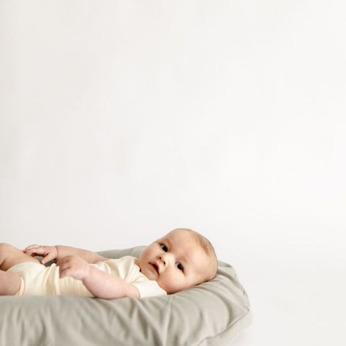 Organic Lounger + Cover Set by Snuggle Me Organic at $239.99! Shop now at Nestled by Snuggle Bugz for Gear.