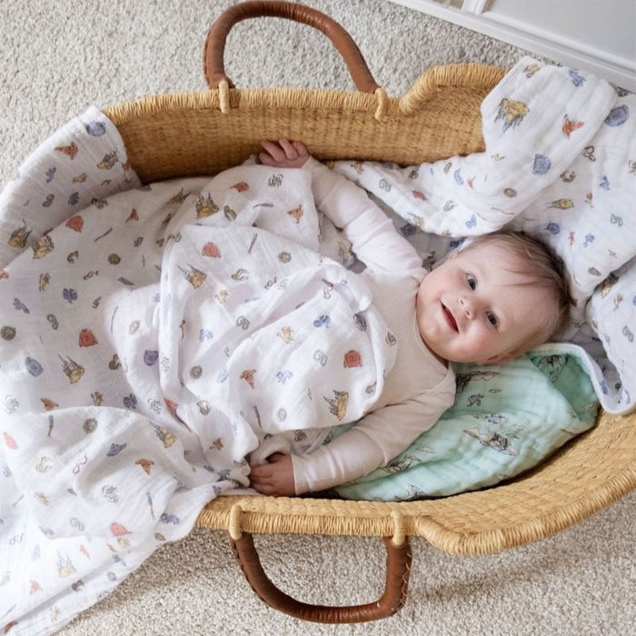 Classic Swaddles - 2 Pack by Aden & Anais at $38.99! Shop now at Nestled by Snuggle Bugz for Nursery & Decor.