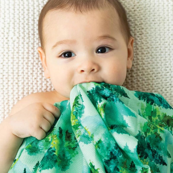 Kaffle Swaddle Blanket - 3 Pack by Tiny Twinkle at $89.99! Shop now at Nestled by Snuggle Bugz for Nursery & Décor.