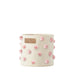Pom Pom Pints by Pehr Designs at $37.99! Shop now at Nestled by Snuggle Bugz for Nursery & Décor.